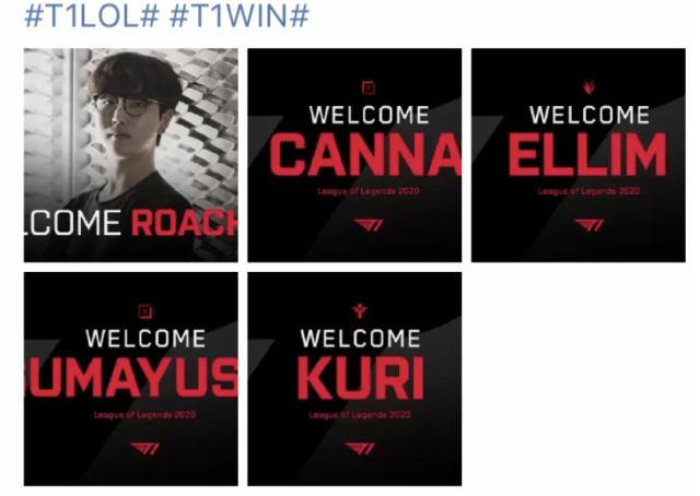 的成长轨迹 的成长轨迹