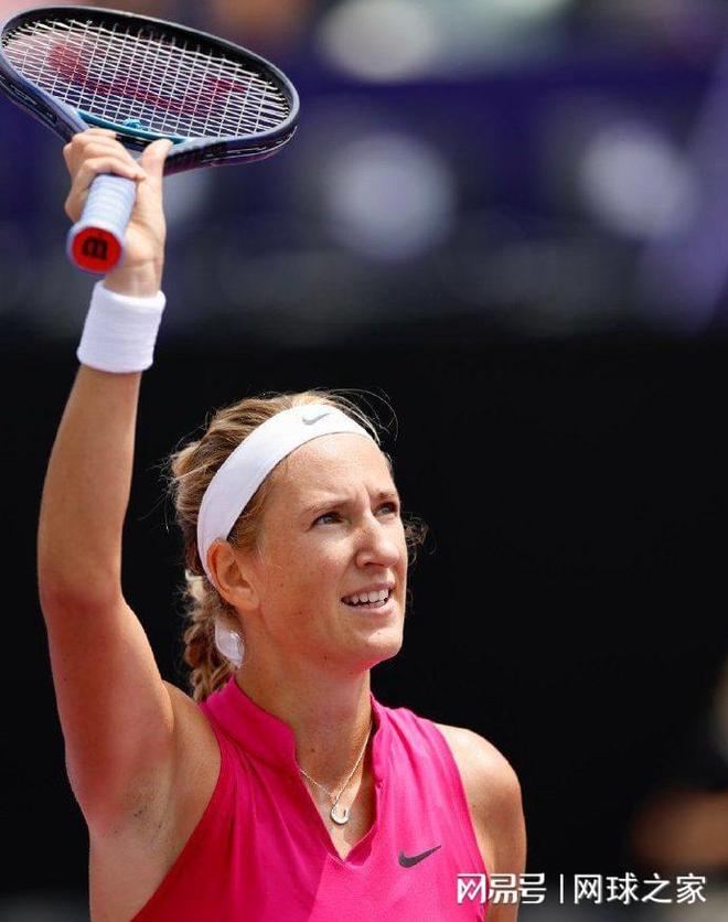 迪萨西的乌 迪萨西的乌